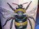 Bišu tetovējuma nozīme. Ko nozīmē bišu tetovējums? Bites simbols pasaules kultūrā