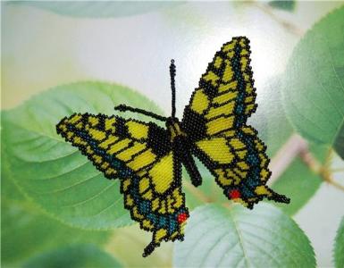 Метелик з бісеру: схема плетіння та покроковий майстер-клас для початківців